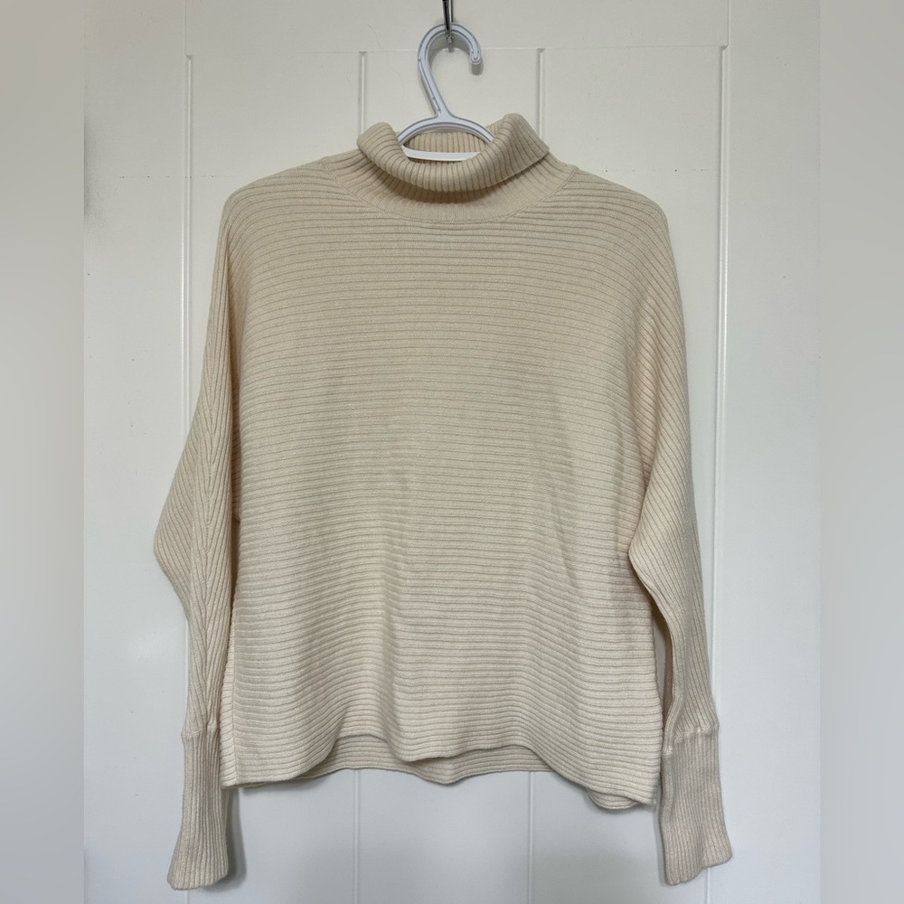 Babaton from Aritzia Ribbed Turtleneck Sweater
